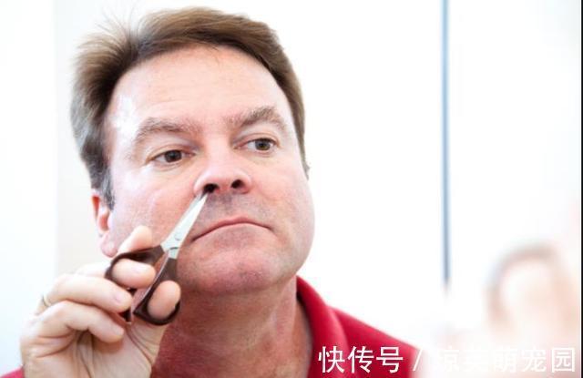 女性朋友|体毛太多可以刮掉吗?这2处毛发建议不要碰