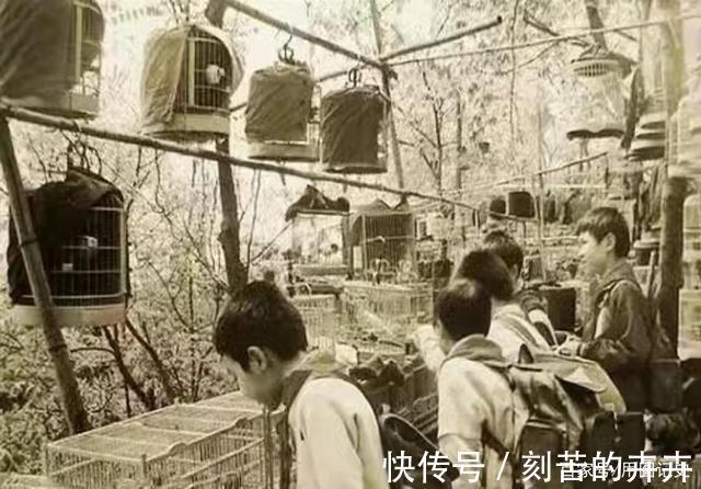 照片|70年代重庆的28张照片