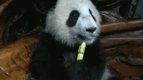 |搞笑GIF:姑娘你这眼神能杀人呀!真是吓死宝宝了