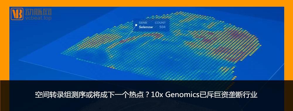 医疗器械|“AI+CTA”首张医疗器械三类证揭晓，3年时间，这家公司做对了什么？