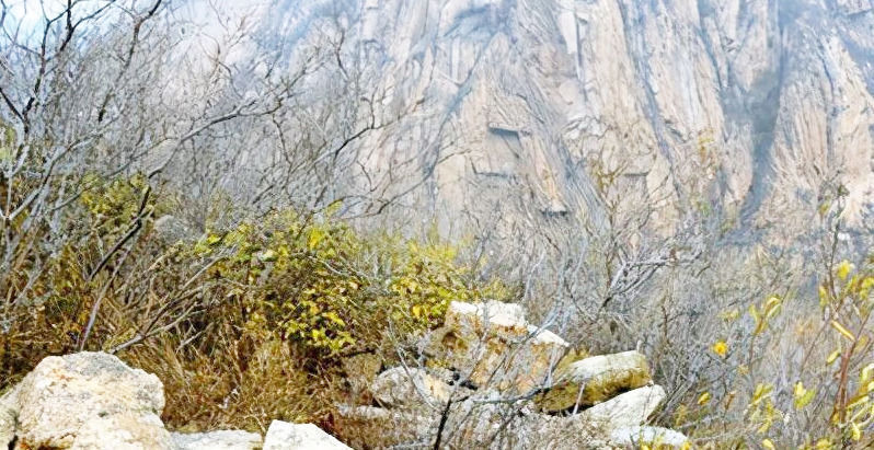 用来|诸葛亮放弃不用的计策，有人用来当宝贝，反而延长了王朝寿命