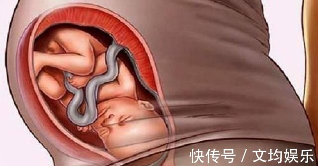 一个月|怀胎十月的最后一个月,肚子里宝宝在干吗其实他在“打包行李”
