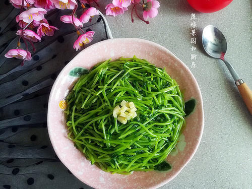 这菜是天然青霉素,是蔬菜也是“药”,隔三差五吃,止咳嗽防感冒