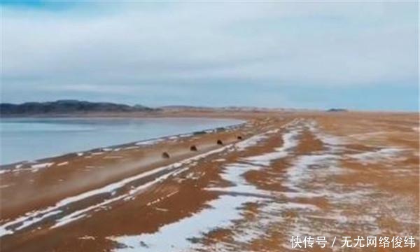 世人常说“黄泉路”,是否真的存在?其实无法解释