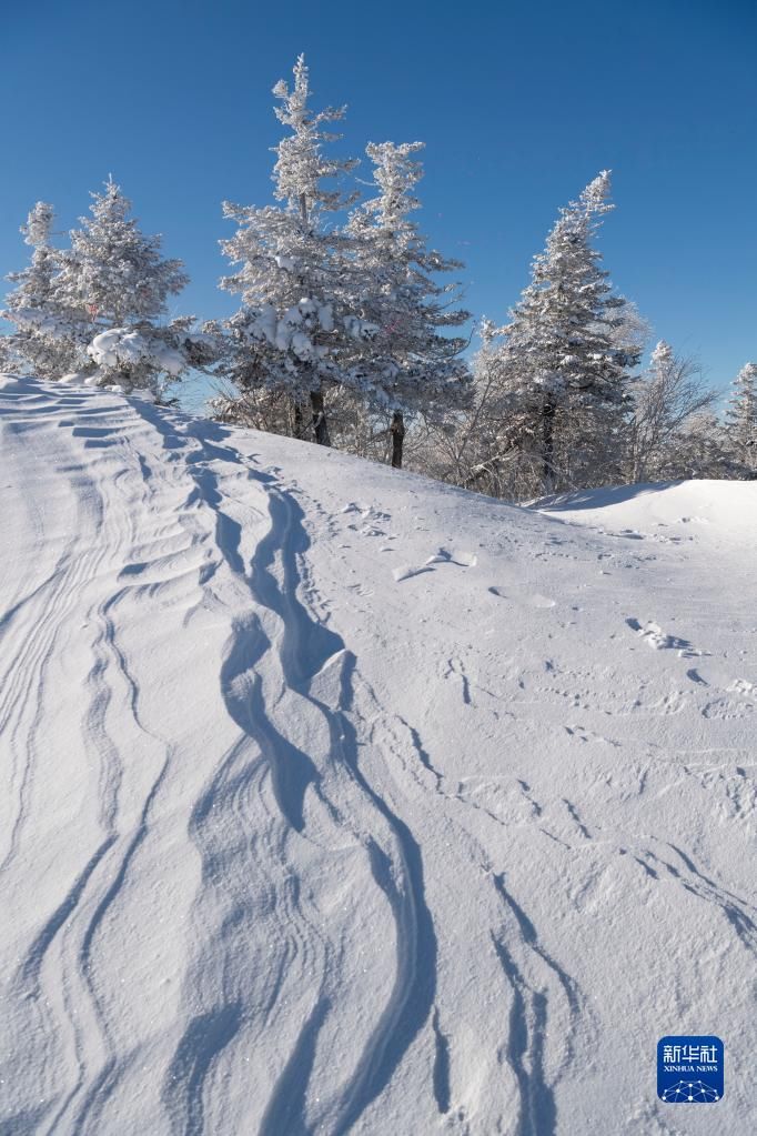 冬奥|新华全媒+丨冬奥临近 冰雪运动氛围浓——探访黑龙江省亚布力滑雪旅游度假区