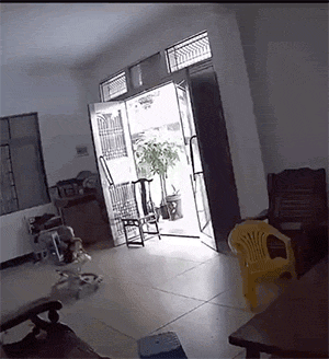 |史上最毒的10张搞笑gif动图太搞笑段子,不收藏就找不到了