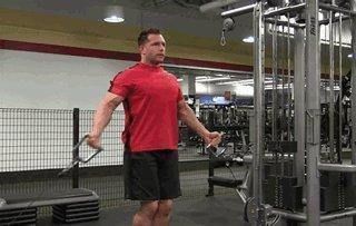 肩胛骨|3个动作锻炼上胸肌群，让你的上胸变得饱满起来