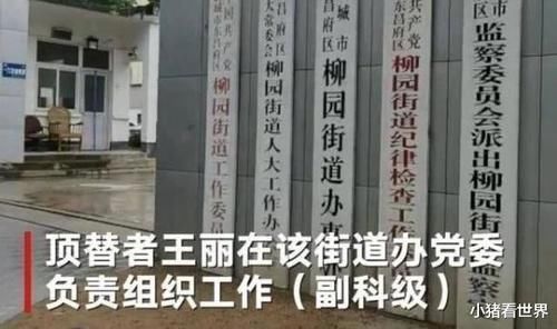 高考|大学顶替者同事“举报者做得太绝，把她撤了，你能顶替吗”