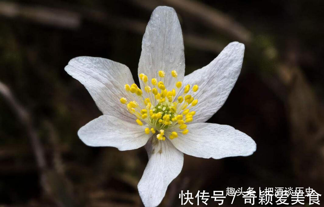 秘密#做人,守好了这四个“遮羞布”,自然能多福少祸