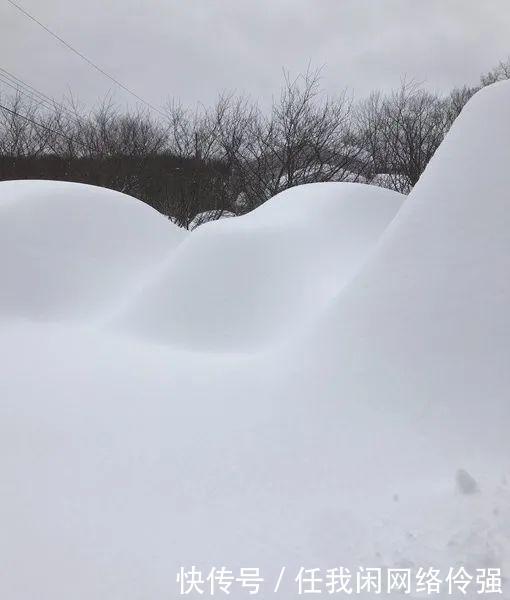 纽约州天降暴雪足足一米厚！车和房全都被埋了，只剩白茫茫！