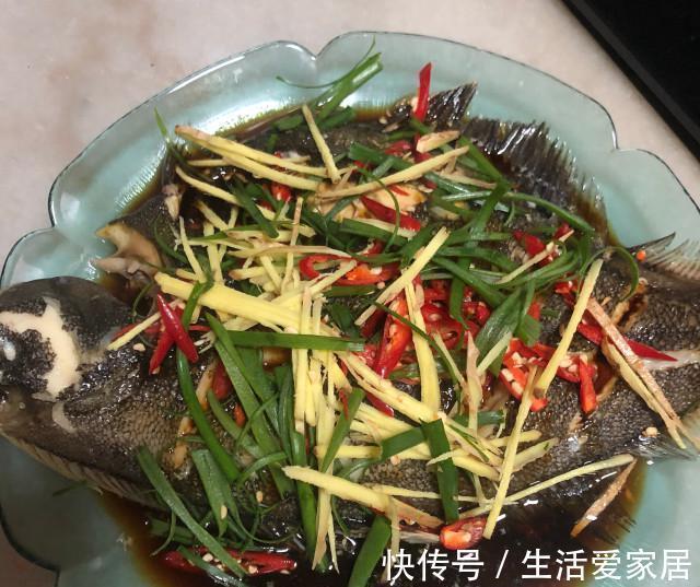 多宝鱼|清蒸多宝鱼,肉质鲜嫩,一点都不腥