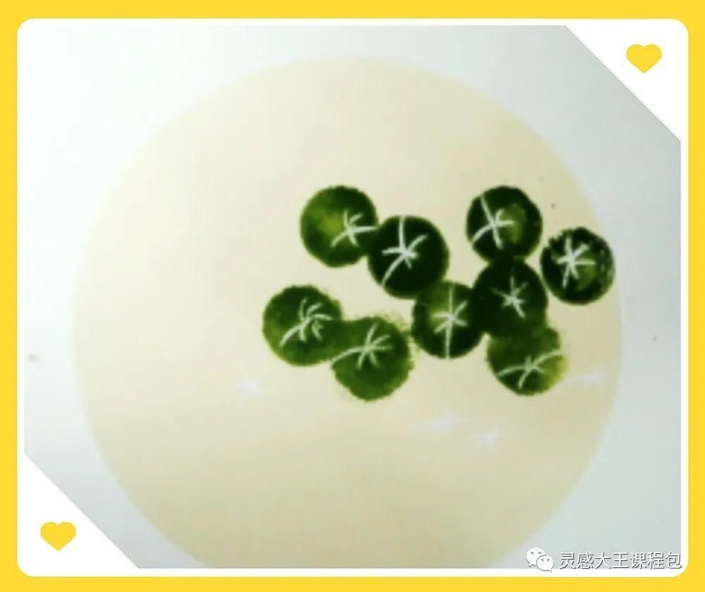 孩子们笔下的铜钱草,妙不可言的精致美