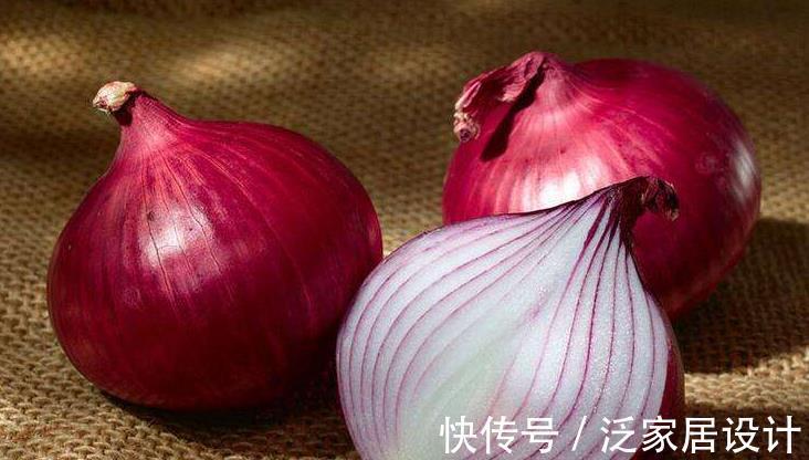 洋葱根|室内种洋葱，随手种一块，小洋葱蹭蹭长