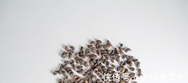 亚健康|此物滋养肝肾、充盛精血,退阴虚之火,生发黑发、明目,平血之压