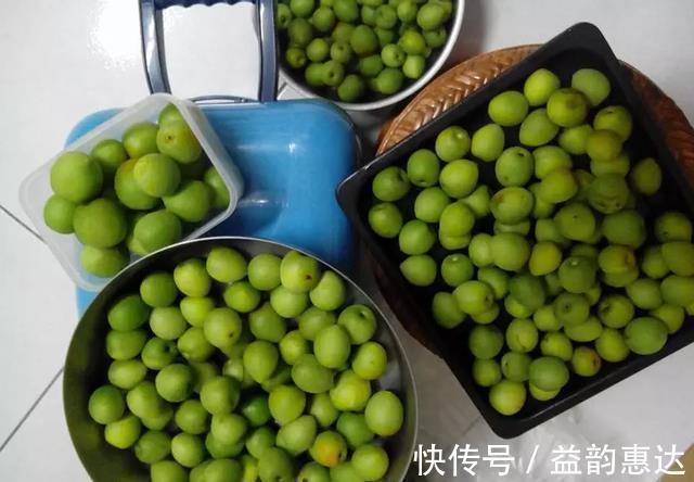 梅子|梅子醋怎么做?大叔只需两步就搞定,酸爽开胃,做一次能管一年~