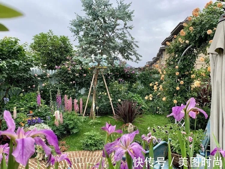 满园|2年前,买了一栋带院子的房子,在高楼喧嚣中建一个“梦幻花园”