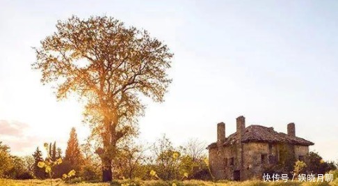 就凭这3件事,每个家庭代代出人才!