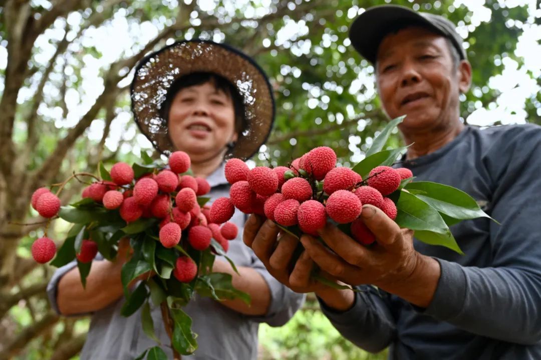 古人们|今日小暑：看看古人们在这一节气的“水果自由”