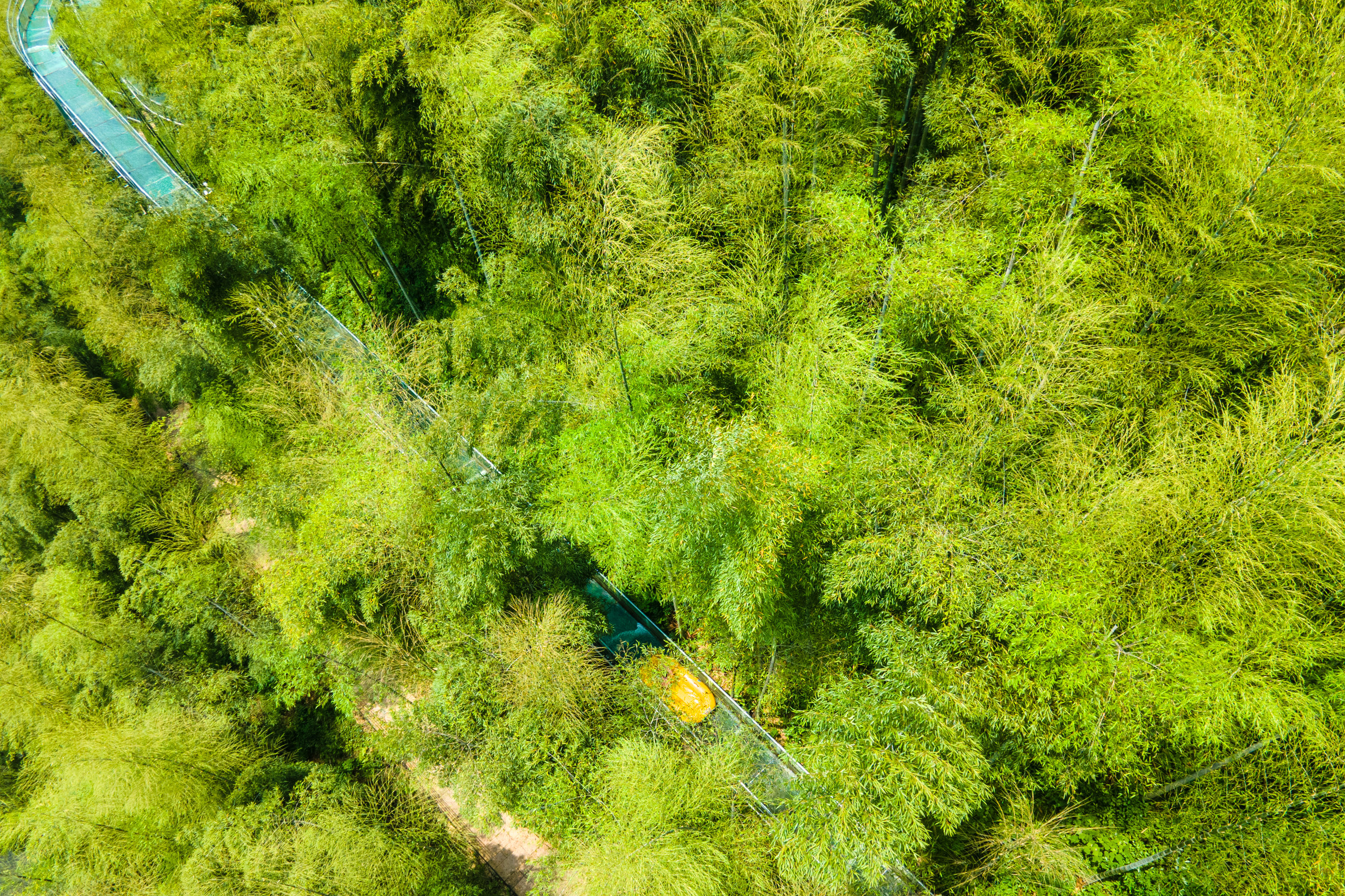 好去处|打卡安吉新潮营地，夏日避暑戏水好去处