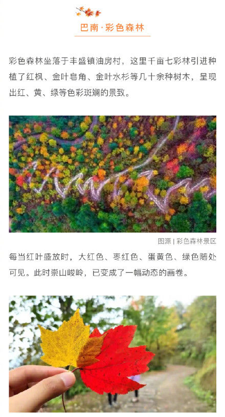 红叶|一睹山城的盛世美颜！最全重庆红叶地图请收好！