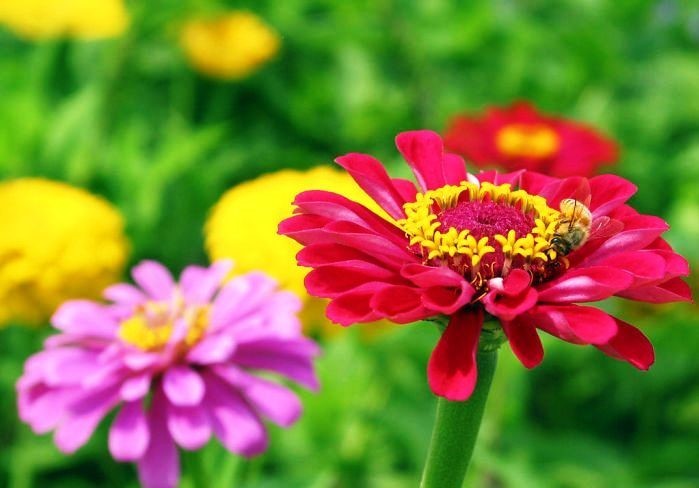 睿智!让人受用一生的句子,深刻睿智,受益匪浅