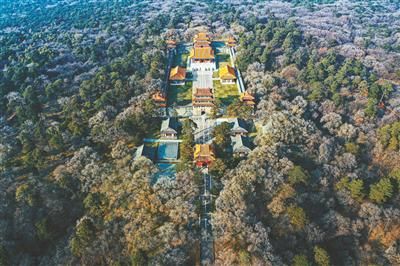 秋天|留住秋天的回忆