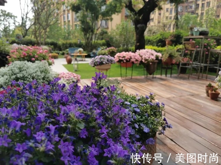 下午茶|一楼430㎡大院子,用1年半建成花园,网友:你这是建了个公园吧?