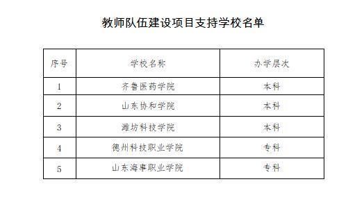 民办高校基础能力建设 山东5所高校获教师队伍建设项目支持