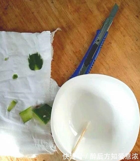 仙人掌|仙人掌如何嫁接蟹爪兰？教你3个嫁接小妙招，方法对了，开花多3倍