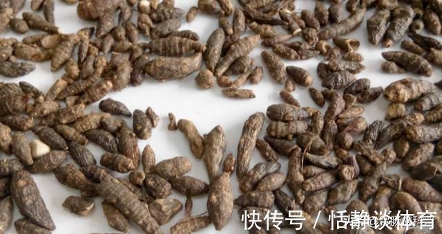 生气|调一切肝病,治一切气病——这味药是“妇科之仙药”