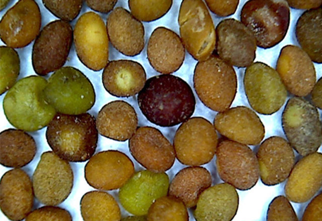 泡水|退休中医男性50岁以后,常用4样中药泡水喝,固肾气、养肾脏