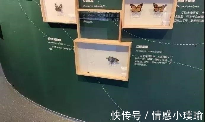 小女孩|熊孩子毁46万元作品,家长叫嚣:小孩吃屎你也吃屎?