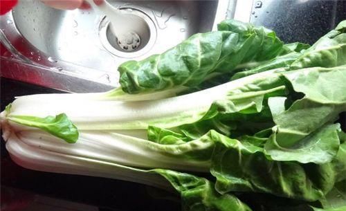 春季适合吃几种食物，排毒护肝，减肥瘦身，好处多多！