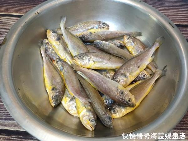黄花鱼|这种小鱼6块钱一斤，在菜市场无人问津，但却是名副其实的海鱼