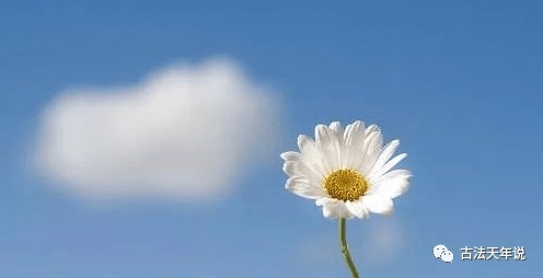 肝气|五指通全身,秘密都在这