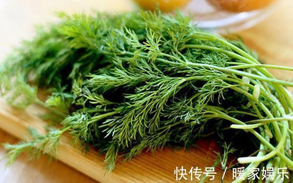 浑身|这种植物乡下人嫌弃味道大不吃,却不知道它是胃病克星,浑身是宝