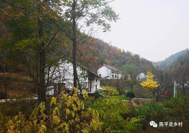 公路|洛南秦岭大山里的自驾公路，路边全是美景，只是在深山没人知道！