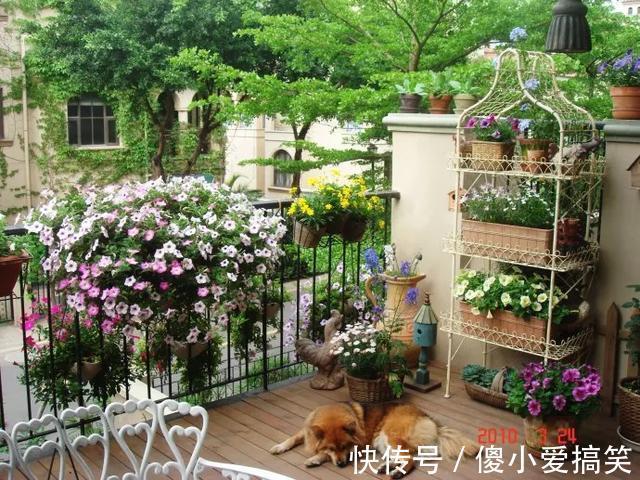 花园|3平米小阳台，也能变花园，有露台、阳台的千万别浪费！