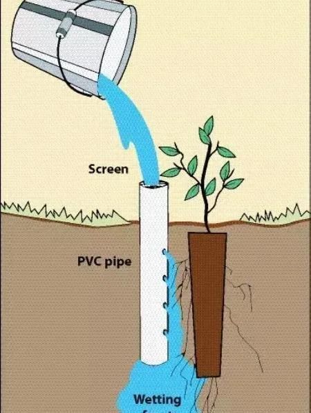 植物|没地种花种菜,没时间浇水几个塑料瓶就能解决,DIY变废为宝