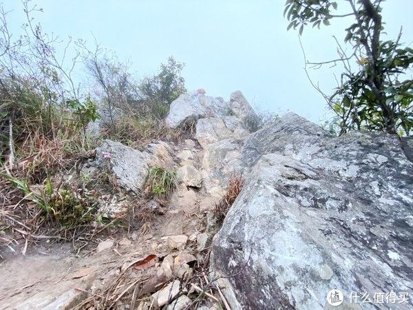 龙中|从黑夜到白天，登顶广东“小华山”