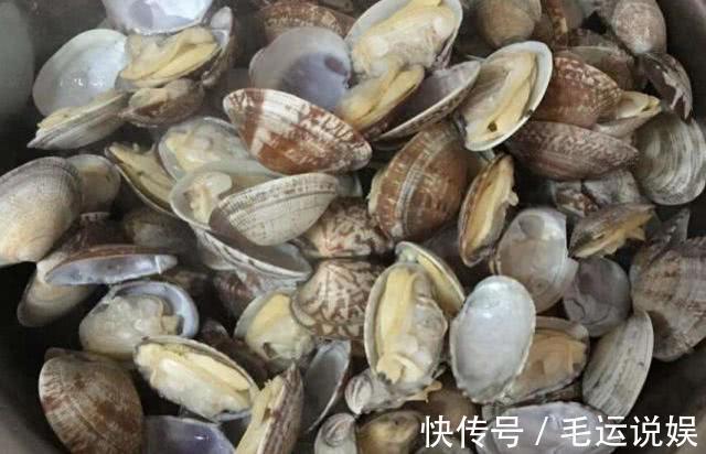 焯水|炒“花甲”时到底焯不焯水，很多人没做对，难怪花甲又沙又不鲜