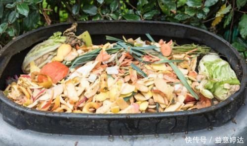 营养土不用花钱买,自己制作的“营养土”,养啥花都旺