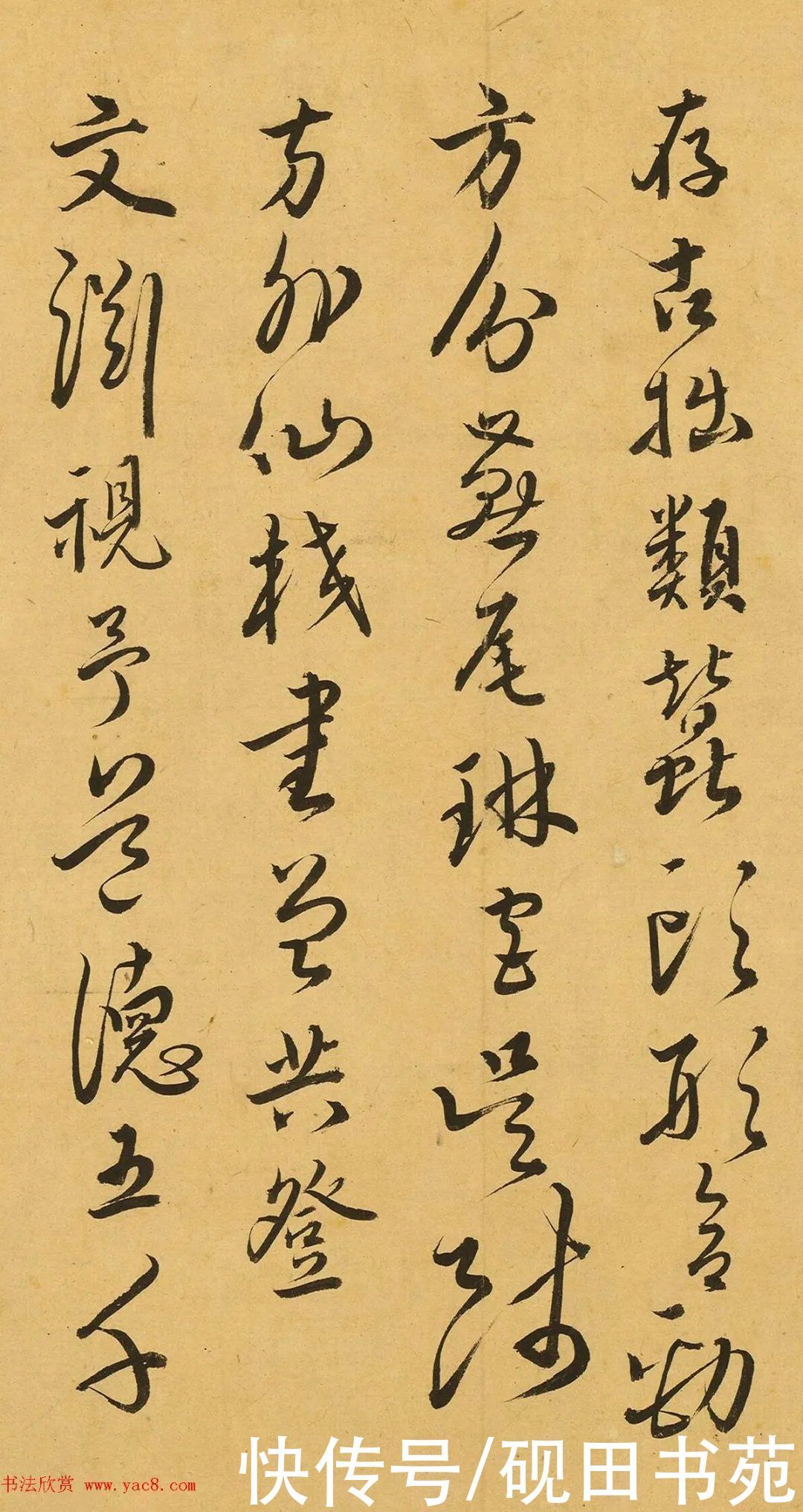 胡子昂#明 胡子昂 题吴叡隶书老子《道德经》,堪比赵子昂?