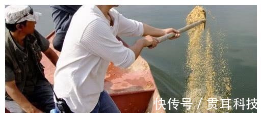 盘点钓鱼圈中最应引起重视的3件事,很多钓友已中招