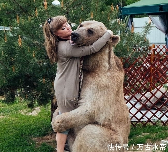 一对俄罗斯夫妇帮助收养一只孤熊。这是23年后的生活