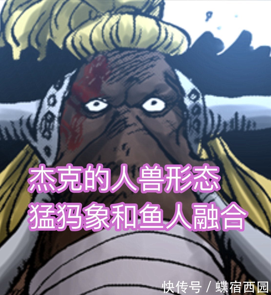 小蜘蛛|海贼王1026话,杰克人兽形态曝光,造型稀奇,可惜一登场就被秒杀