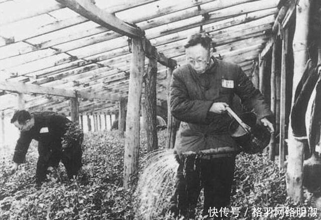 入不敷出|溥仪有了工作后,工资那么高,为何经常入不敷出?