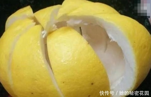 将柚子|柚子皮是个“宝”,竟有如此“喜人”的作用,后悔现在才知道
