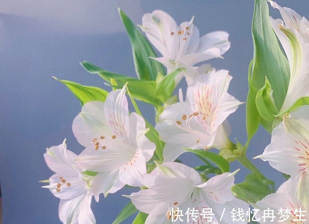 曾国藩&《道德经》有格局的人,守其雌,守其黑,守其辱,反而,有大作为