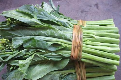 害草|5种让人头疼的“害草”,个个都是“抗癌王”,比蒲公英好100倍